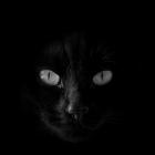 2da53836 cfd8 41fa b74d e7817c3691a4