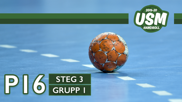 LIF Lindesberg - HK eRPing Vit