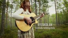 Visskolan