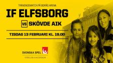 IF Elfsborg – Skövde AIK (träningsmatch)