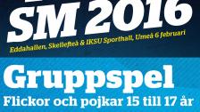 Futsal-SM