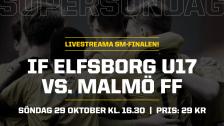 SM–FINAL U17: IF Elfsborg – Malmö FF