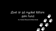 C1bf5b56 7e45 41a7 8deb fab8c31c0e7c