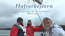 Träna med Odd
