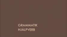 Hjälpverb -turkiska