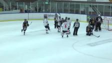 Highlights HC Dalen - Varberg Vipers 3-4